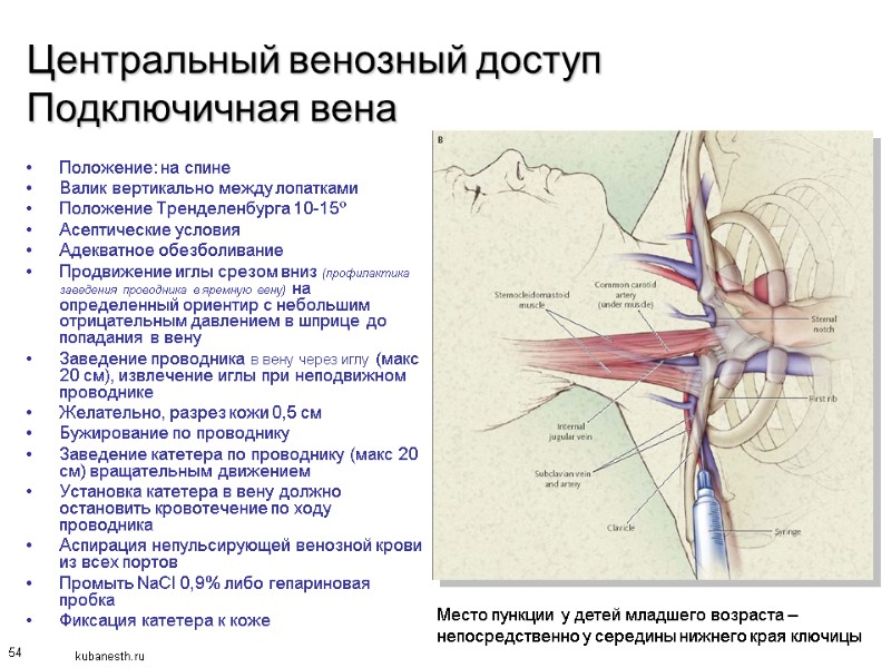 54 Центральный венозный доступ Подключичная вена Положение: на спине Валик вертикально между лопатками Положение
